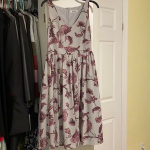 BB Dakota dress, size 6